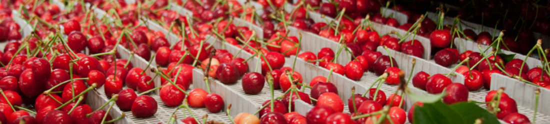 Cherries